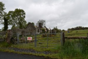 Ireland Tour Pics ruins near Bruse